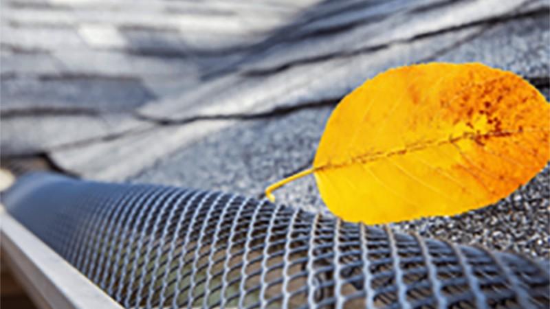 Leaf on gutter