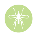 Mosquito Icon